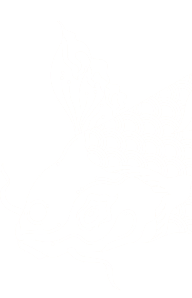 Koi karp abstract picture