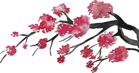 Sakura branch right